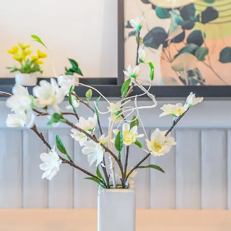 شقة Panoramic Sunset View كلوج-نابوكا